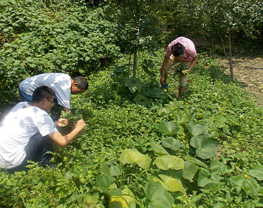 ڶ(du)T_ʼB(ti)r(nng)w(yn)r(nng)ժ