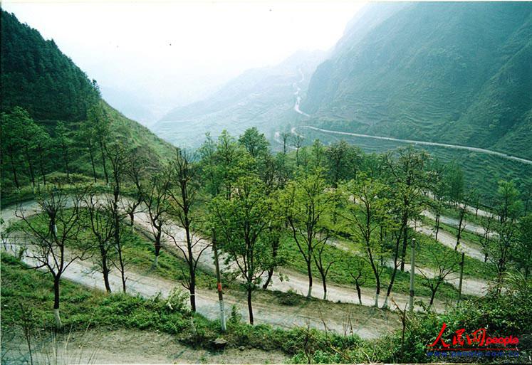 ¡24ա֮ġꐁ?jn)zӰ