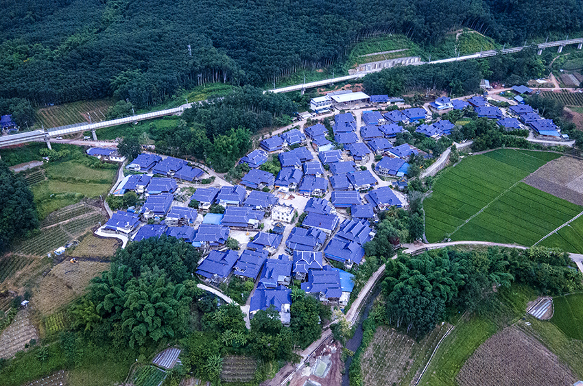 磨憨鎮(zhèn)曼莊村大龍哈小組現代化邊境幸福村新貌。人民網記者 符皓攝