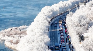 吉林市瓊枝玉樹(shù)霧凇如畫