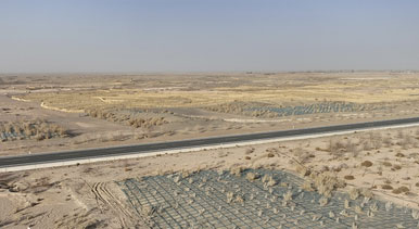 甘肅金塔：草方格中鎖“黃龍”