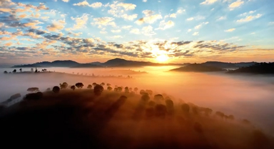雲(yún)南普洱：萬(wàn)畝茶山邂逅日出雲(yún)海
