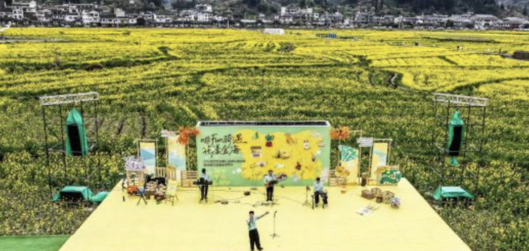 貴州貴定：金色花海綻春光