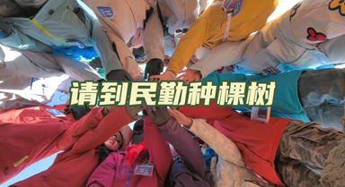 來民勤 種棵樹